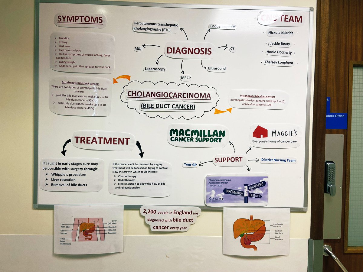 longhorn93chels's tweet photo. February is… Cholangiocarcinoma awareness month! Spent some of last week getting some info out there on the wards at the Freeman @NewcastleHosps for our patients and staff.. spreading awareness of a lesser known cancer & one that doesn’t quite role off the tongue 🤪 @CharityAMMF https://t.co/EfWOAJTTPS