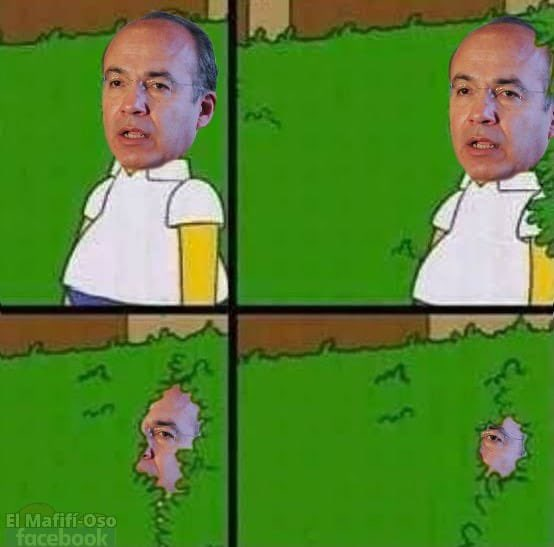 SinLinea_Mx's tweet photo. Mientras tanto Felipe... https://t.co/rBBvETRUpy