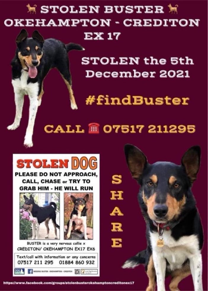LisaClareRead2's tweet photo. Please RT and help #findBuster No sign of him since 5th December 2021. Have you seen him? Letβs help get him home where he belongs πππΎ #Okehampton #Crediton #EX17 #StolenDog #rehomehour https://t.co/Rf7Cwpntp8