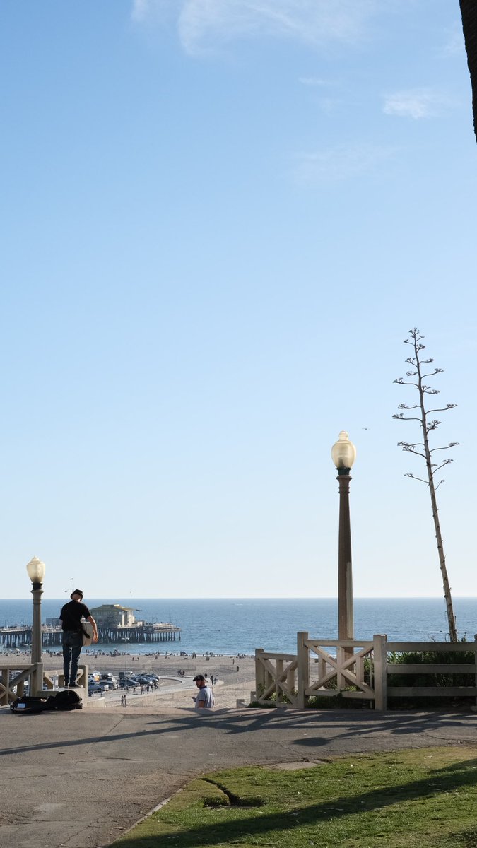 johnmargs's tweet photo. Summer in February , Fujifilm X-T30 ii round 2 https://t.co/PcmeFFtUiK