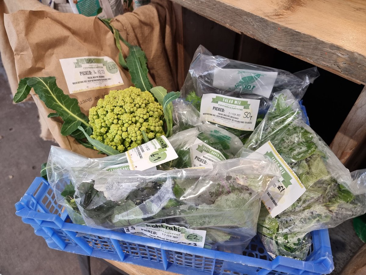 Growhampton tweet media