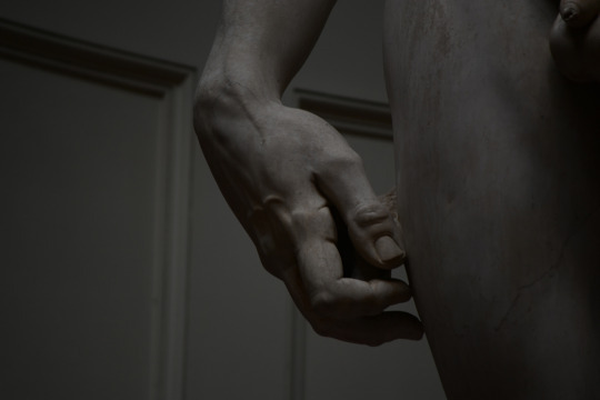 solisolsoli's tweet image. Michelangelo’s David