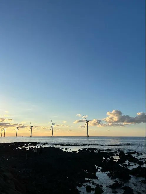 sensing's tweet photo. 🌅 Stunning sunsets at Jeju Island  #Sunset #Beach https://t.co/aAMfKNoGrr