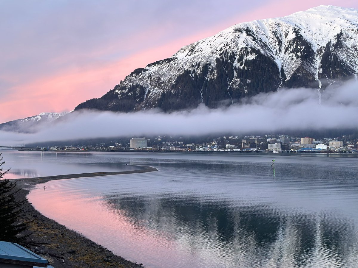 Anne Zink tweet media