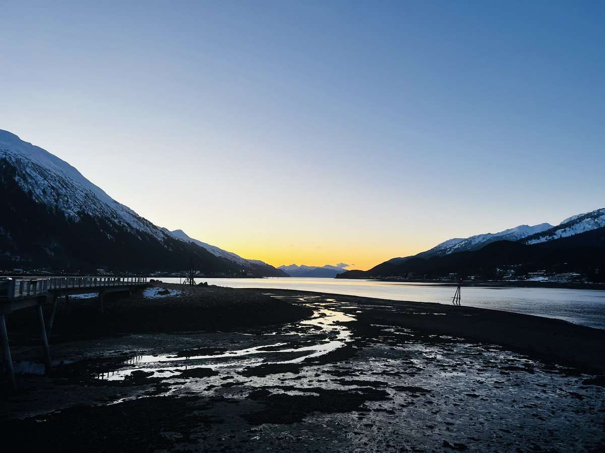 Anne Zink tweet media