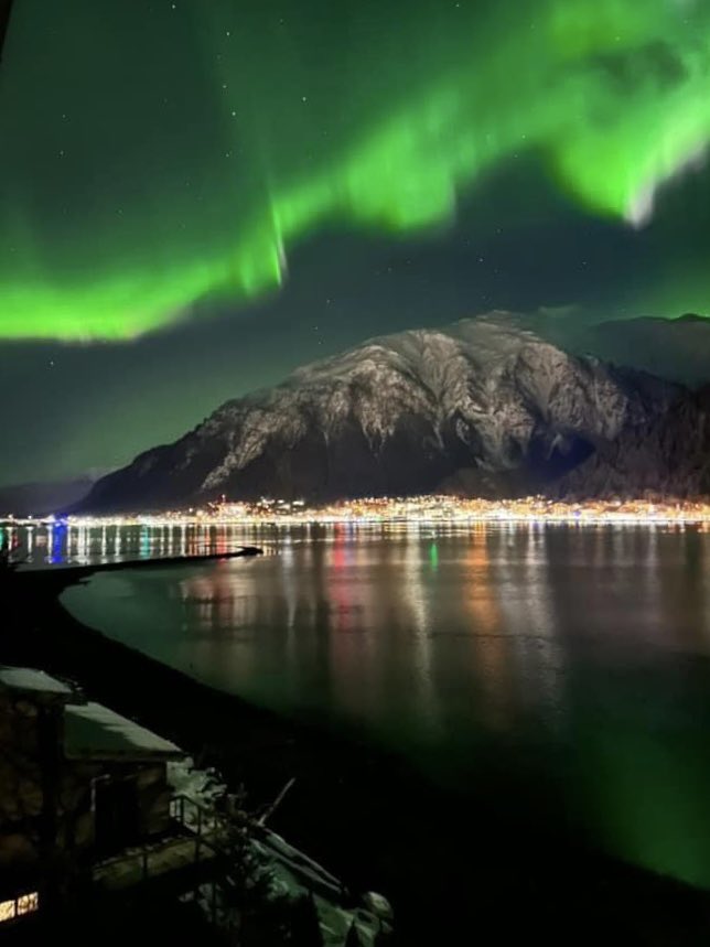 Anne Zink tweet media