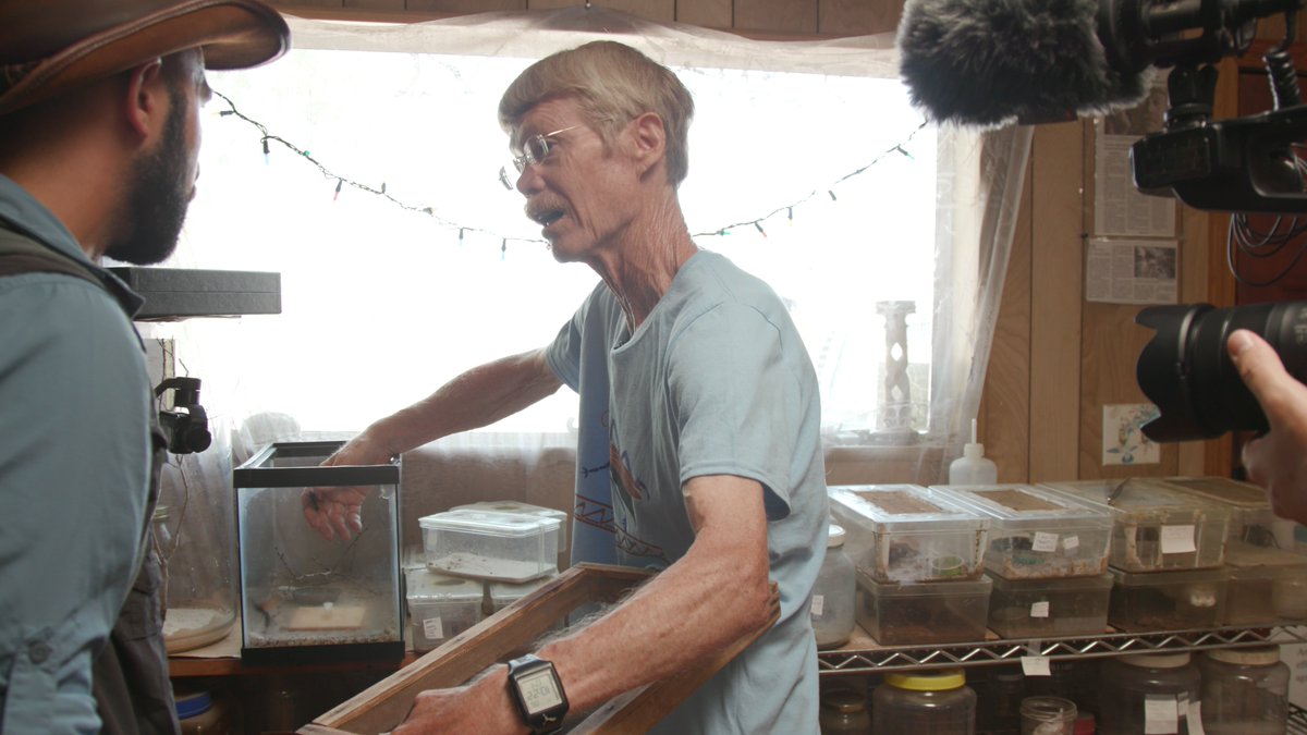 We’re saddened to hear of the loss of Dr. Justin Schmidt, a renowned UArizona Entomologist. Justin has made appearances in Jimmy Kimmel Live, the Guinness World Records, and was featured in our documentary film Insecta. Our hearts and minds are with his family and friends.