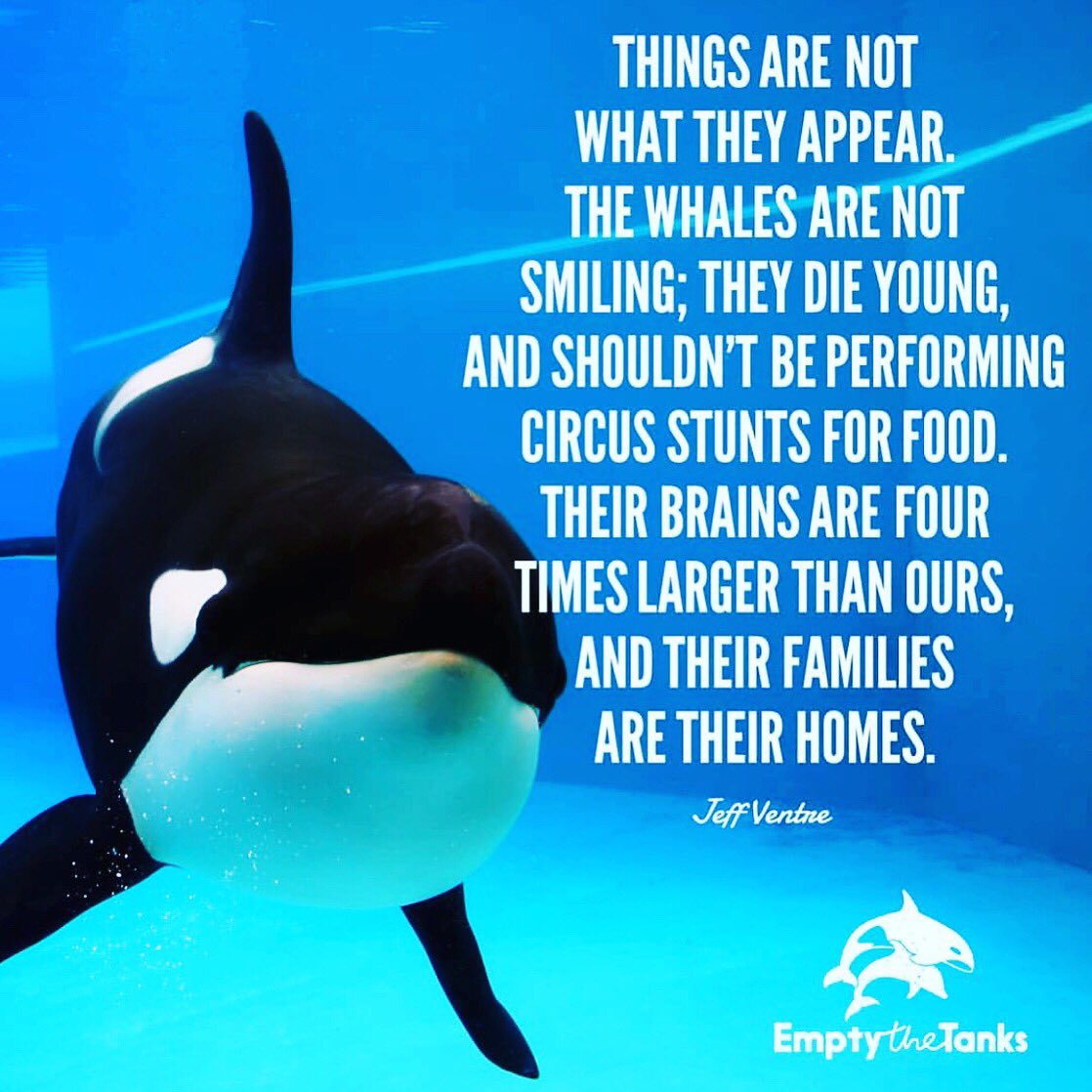 #EndCaptivity #EmptyTheTanks