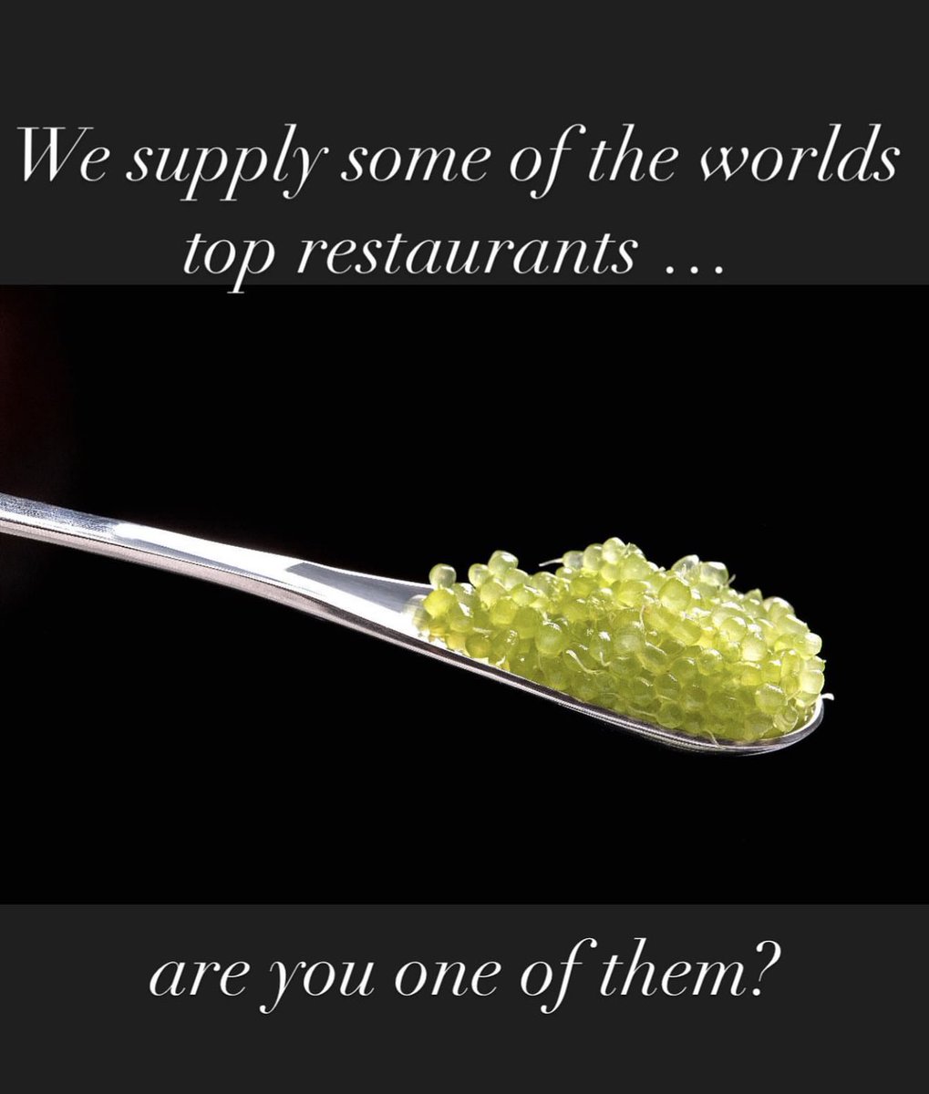 We supply some of the worlds top restaurants. Are you one of them? For more information: info@limecaviar.net #limecaviar #fingerlimes #fingerlime #export #exportquality #top50restaurants #top100restaurants #scenicrim #queensland #australia