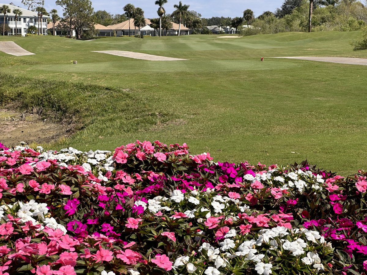 The crew have really pulled it off for the Ladies Invitational. I look back on the last two years since I started, we have come a long way. It has been no easy ride, it’s taken a lot of hours, sweat, stress to over come all the challenges, but today I can sit back and smile!