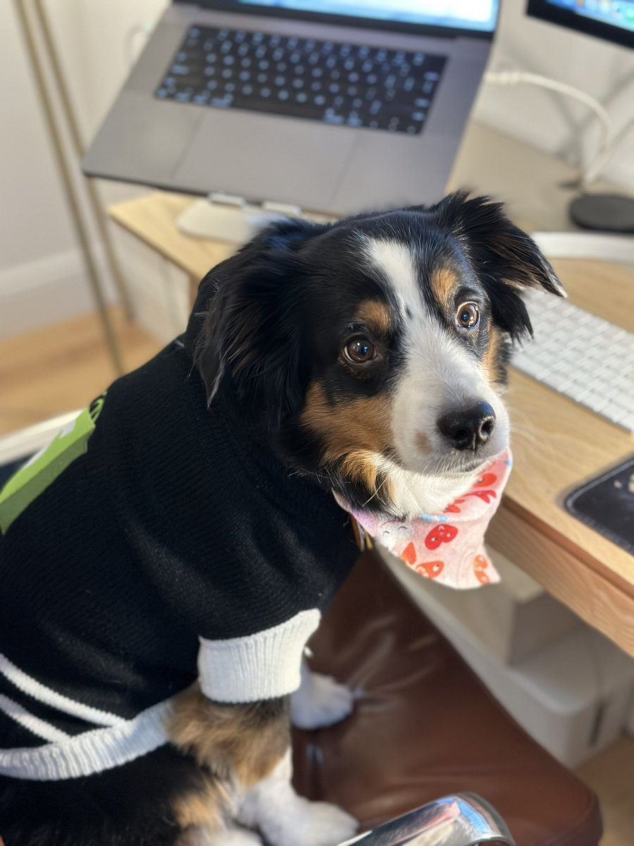 Mark Perini tweet media