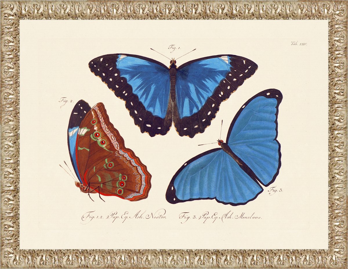 ImageOnThat's tweet image. Okay so I have not been on twitter for 10 years. Hopefully I am like a fine wine and better with age. :)