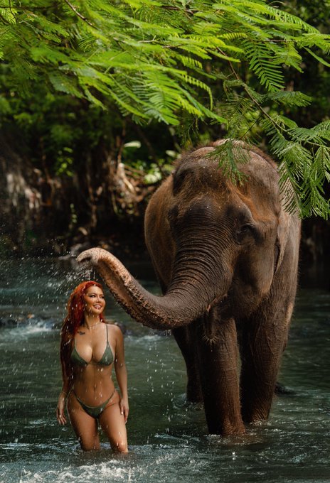 a very blessed girl 🐘&hearts;️✨ https://t.co/AwVzm2F8oM<a href="/tag/asianunited2022"class="tags"><span>#asianunited2022</span></a>