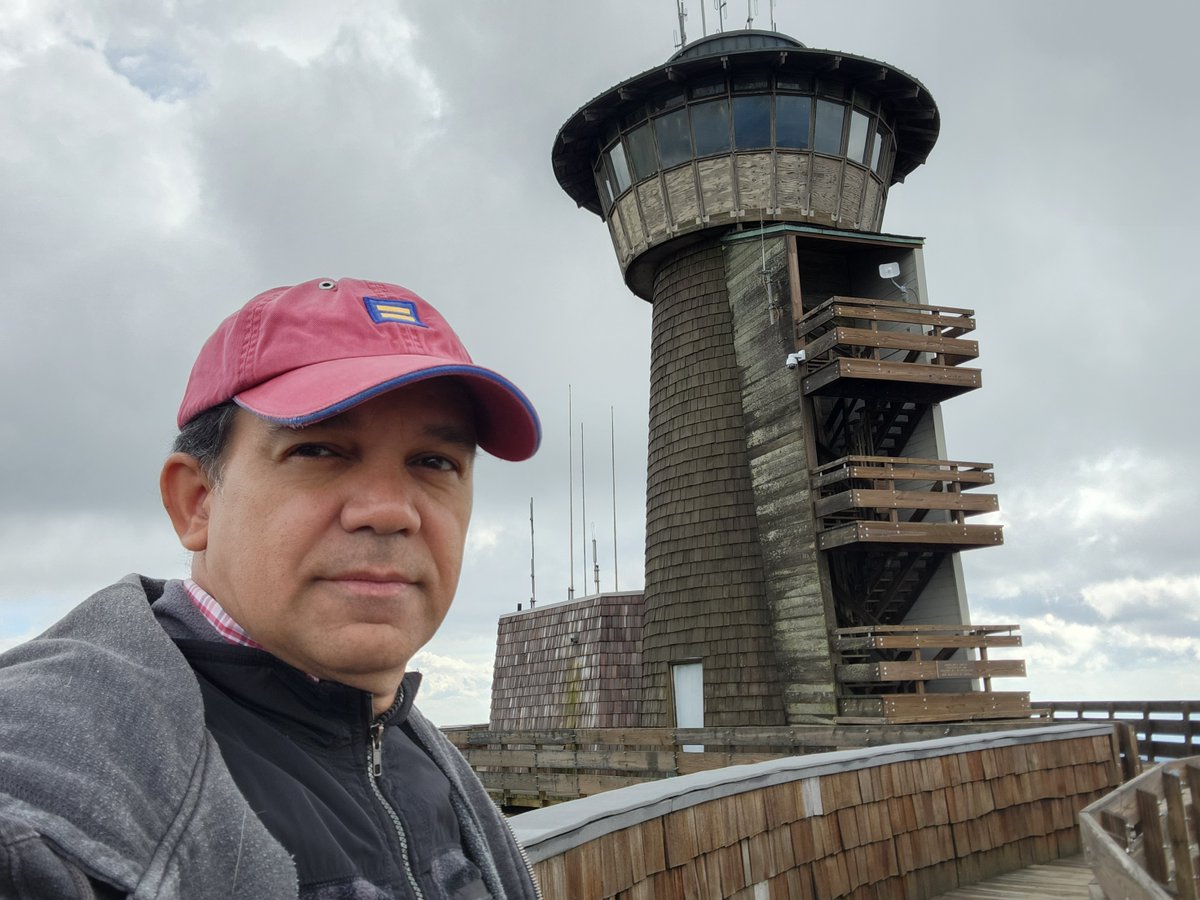 Flavio Alves tweet media