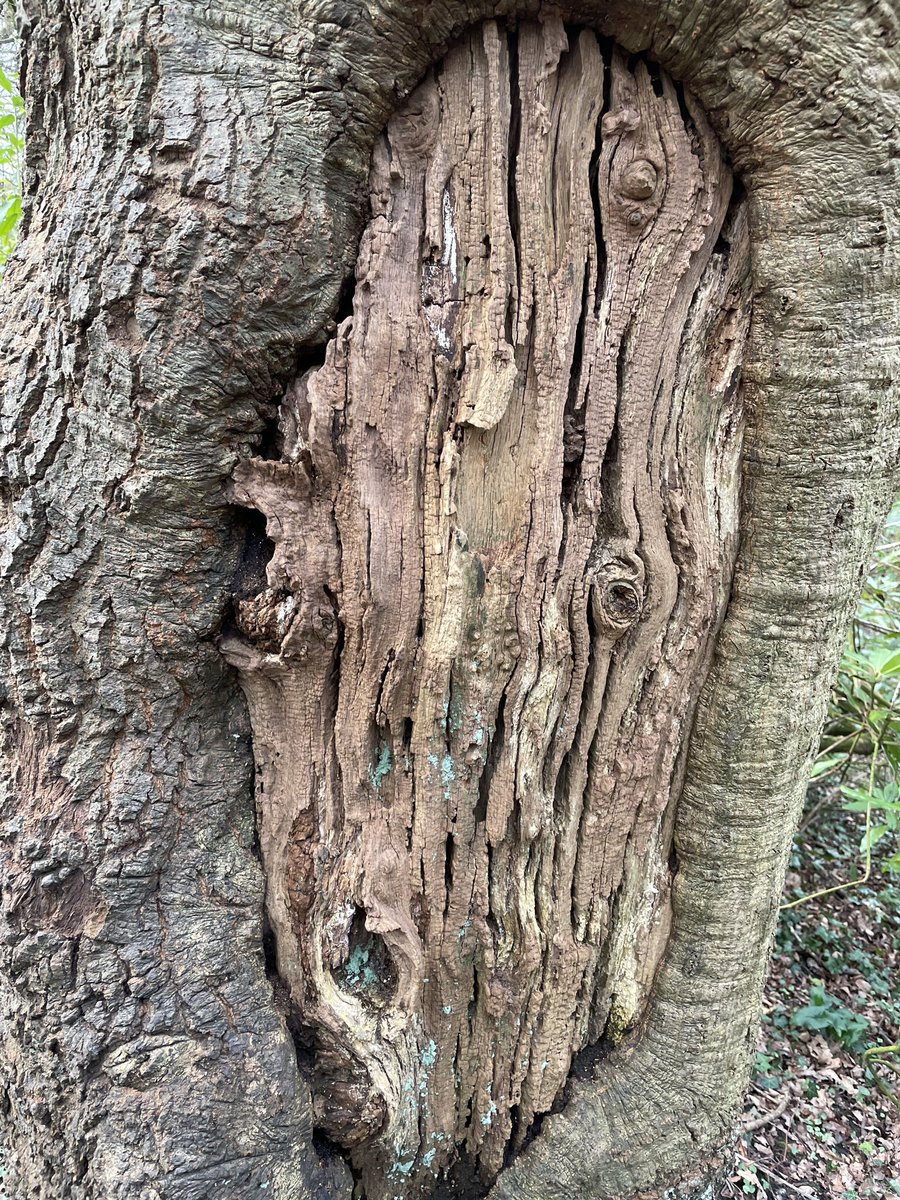 I was told to get knotted. Will this do..?