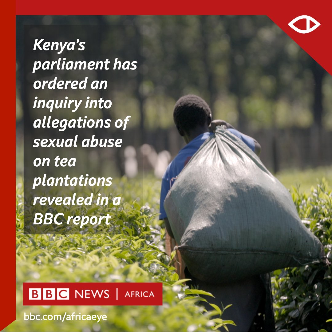 BBC News Africa on Twitter: "???????? Kenya to investigate 'sex for work' exposed in BBC tea documentary: https://t.co/r2k2daYSe4 ???? Watch 'Sex for Work: The True Cost of Our Tea' here: https://t.co/UsTz1cKDnP https://t.co/Kq6Hw2Y0Im" /