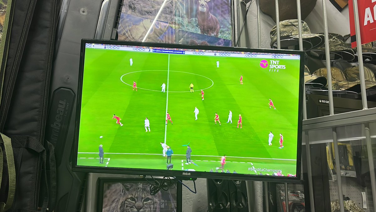 saulchapulinez's tweet photo. @tntsportsmex así si se disfruta más el trabajo #BenditaChampions https://t.co/aYXUMHy4mk