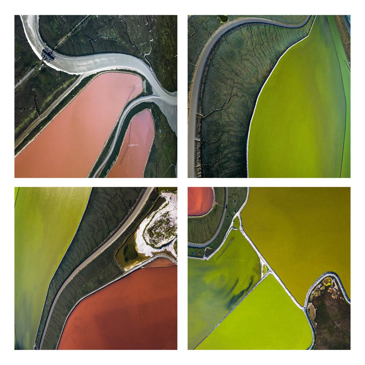 On March 9, we are excited to welcome back Aziz + Cucher for a special evening in celebration of their 30 years of collaboration. Joining them is Barbara Boissevain <a href="/boissev/">Barbara Boissevain</a> , returning to the Bay Area from her new home base in Palm Springs! Tickets here: eventbrite.com/e/photoallianc…