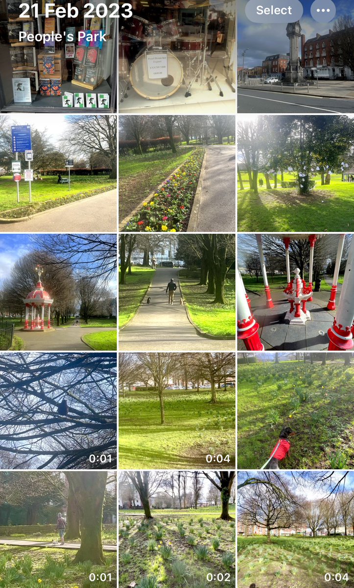 SeanRyanT's tweet photo. #Limerick #100daysofwalking
Video @ https://t.co/l71aYTESab #Music of #DavidBowie #changes #winter #spring #PeoplesParkLimerick #Daffodils #Dogs #StreetArt #City #RiverShannon #Thomond #EnableIreland #PopUpGardenShop #oconnellstreet
#LimerickLaneways @
https://t.co/NdiJHODiSJ https://t.co/oq6na1xdeS