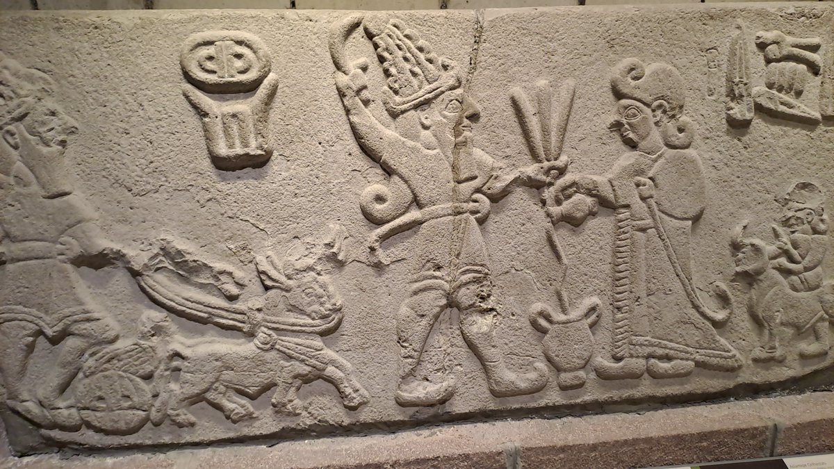 dr. gianluca grimalda tweet media