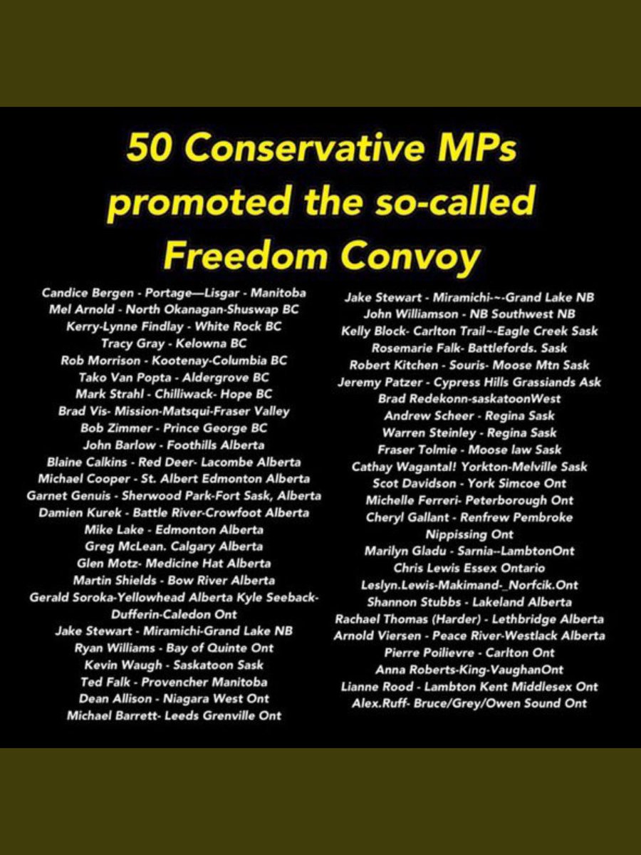 cassko's tweet photo. @PierrePoilievre You need to RESIGN. #POECreport #MGTOW #PierrePoilievreIsLyingToYou https://t.co/xumIfT9OE1