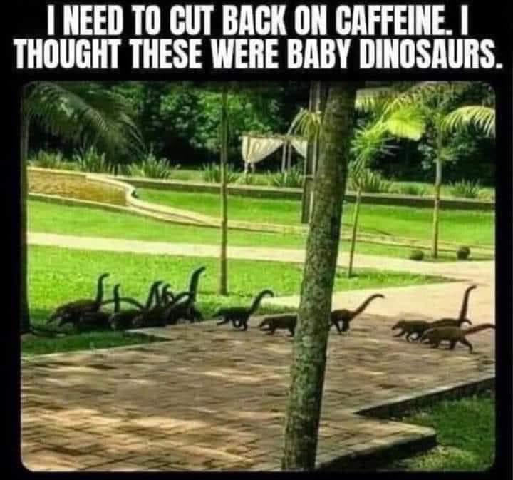 PJ’s Coffee Grand Prairie (@pjs_gptx) on Twitter photo 