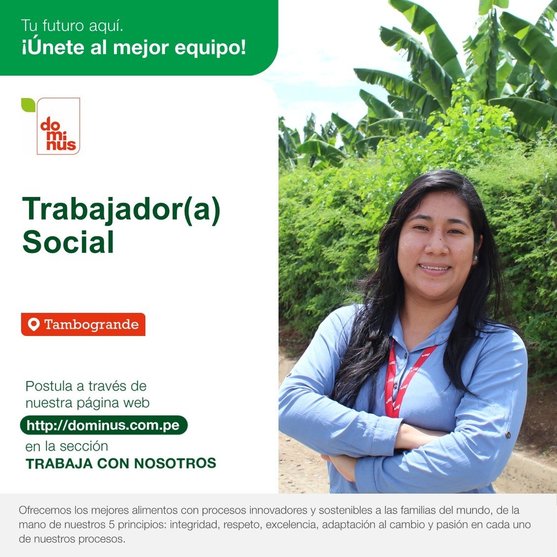 ClauV36's tweet photo. "Trabajador(a) Social" ¡Nos encontramos en la búsqueda del mejor talento! 
Requisito: Experiencia de 2 años ¡Sigamos cultivando futuro!❤💚 https://t.co/sOs2k3EvEU