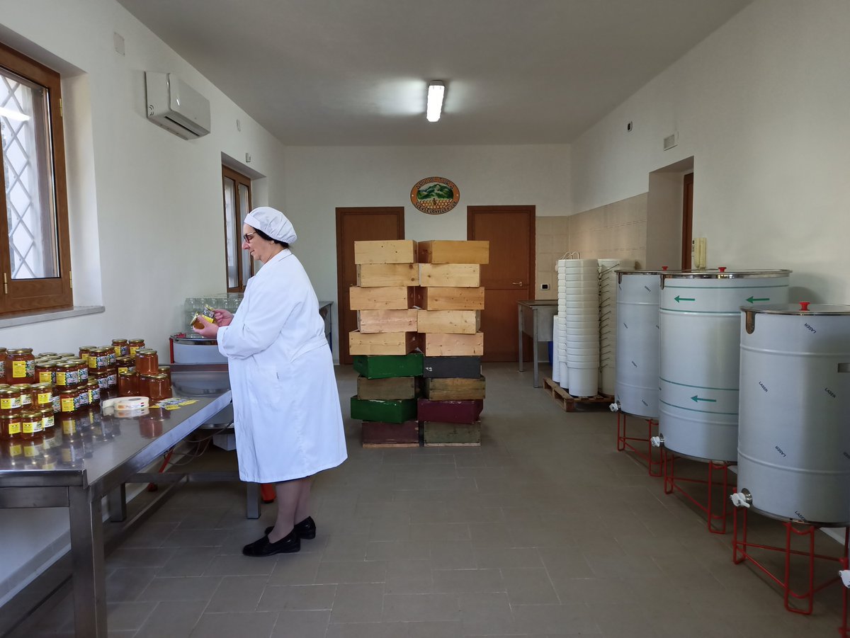 Api_Santamaria's tweet photo. still working 💪🍯

#apicoltura #apicolturaitaliana #beekeeping #api #bees #savethebees #apiary #miele #beehive #natura #nature #mountain #nature_perfection #naturelover #natureshots #naturephoto #campania https://t.co/hZZmQzsNVy