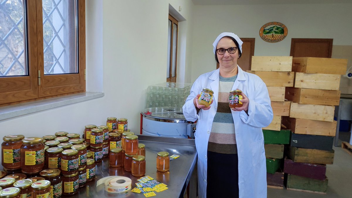 Api_Santamaria's tweet photo. still working 💪🍯

#apicoltura #apicolturaitaliana #beekeeping #api #bees #savethebees #apiary #miele #beehive #natura #nature #mountain #nature_perfection #naturelover #natureshots #naturephoto #campania https://t.co/hZZmQzsNVy