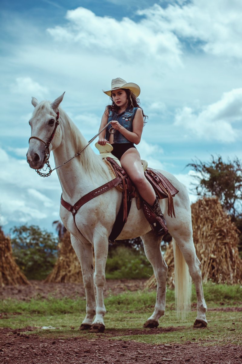 andyyqueenmx's tweet photo. LA REGIA 🐴🤎
#OnlyFans
https://t.co/RKtfuxMYbg
📸 @pope_chinaski https://t.co/HmH54ojHcq