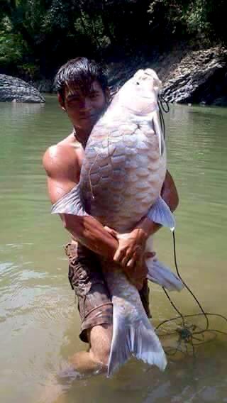 ForgottenClicks's tweet image. 