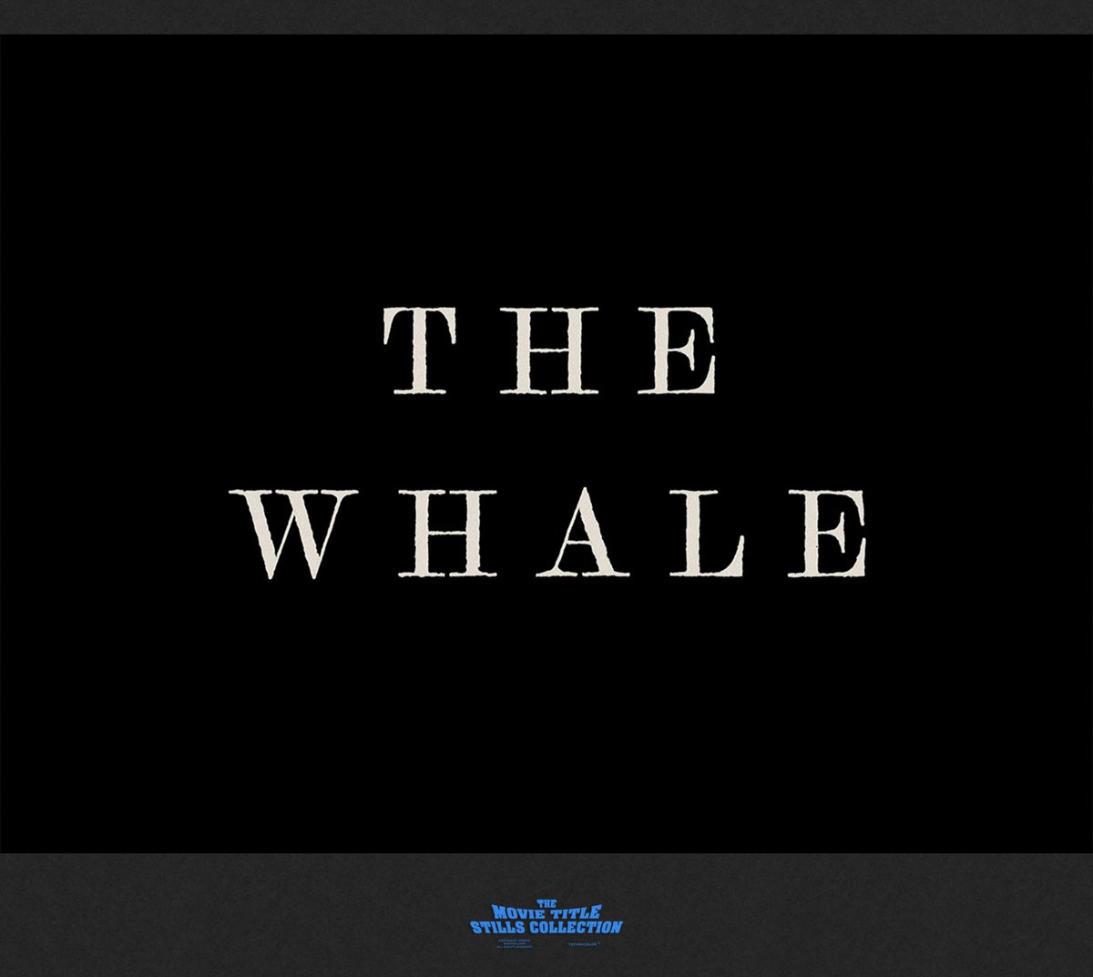 THE WHALE (2022) title sequence
annyas.com/screenshots/up… #TitleSequence

Title design: Jeff Kryvicky

Directed by: Darren Aronofsky 
Starring: Brendan Fraser, Sadie Sink, Hong Chau, Ty Simpkins, Samantha Morton