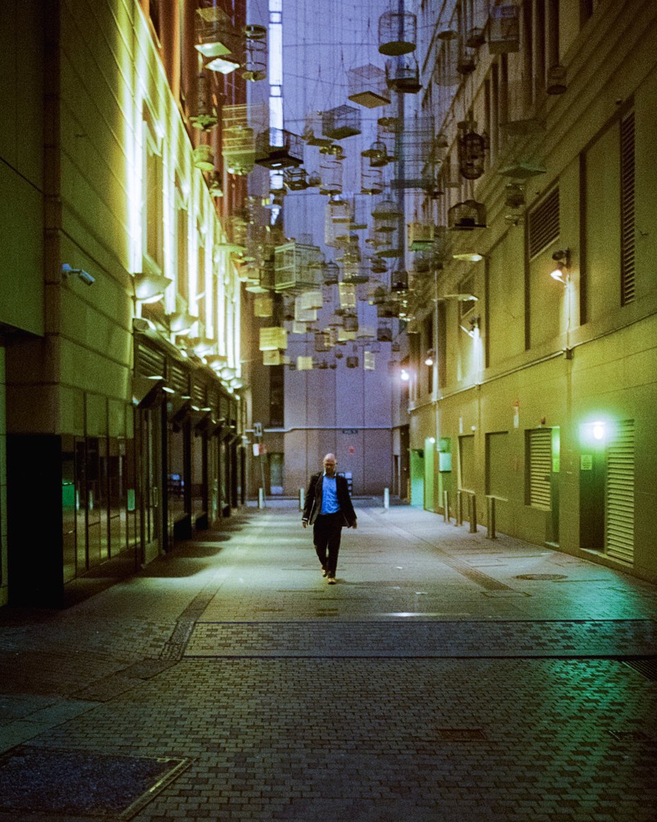 David Sark tweet media