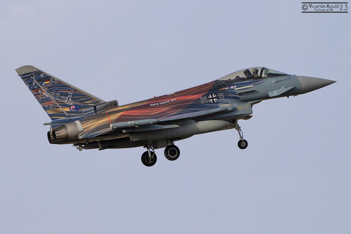 Cuando hay arte y gusto diseñando libreas de aviones...