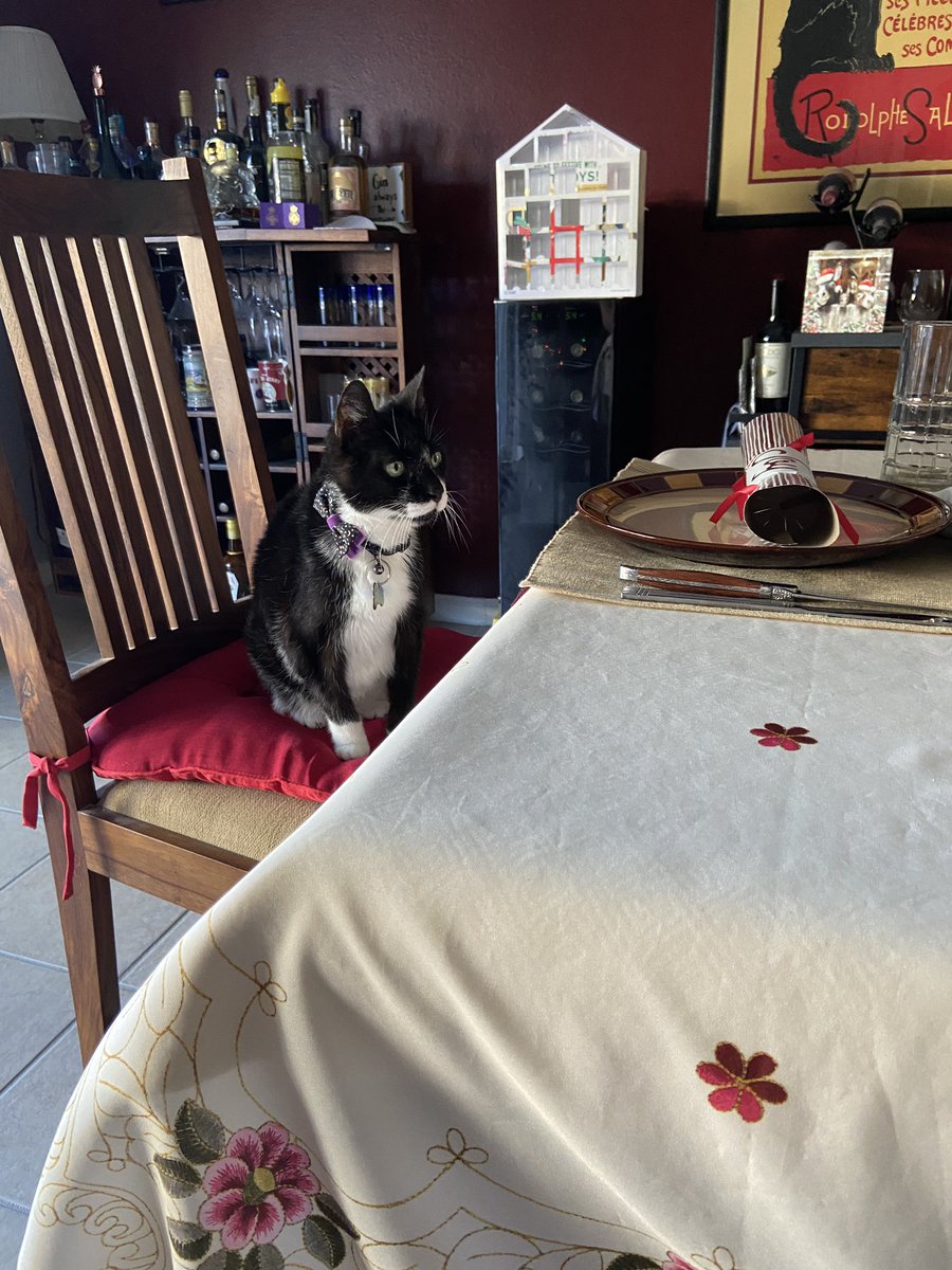InsideOutsideC1's tweet photo. Staff here: It is with great sadness that we must report that Stinky has crossed OTRB. He deteriorated rapidly last night and sadly did not make it to the Vets. He made it to his 16th birthday in Dec last year and was a proud #SuperSeniorCatsClub member 1/2 https://t.co/4Y3RO6LjDb