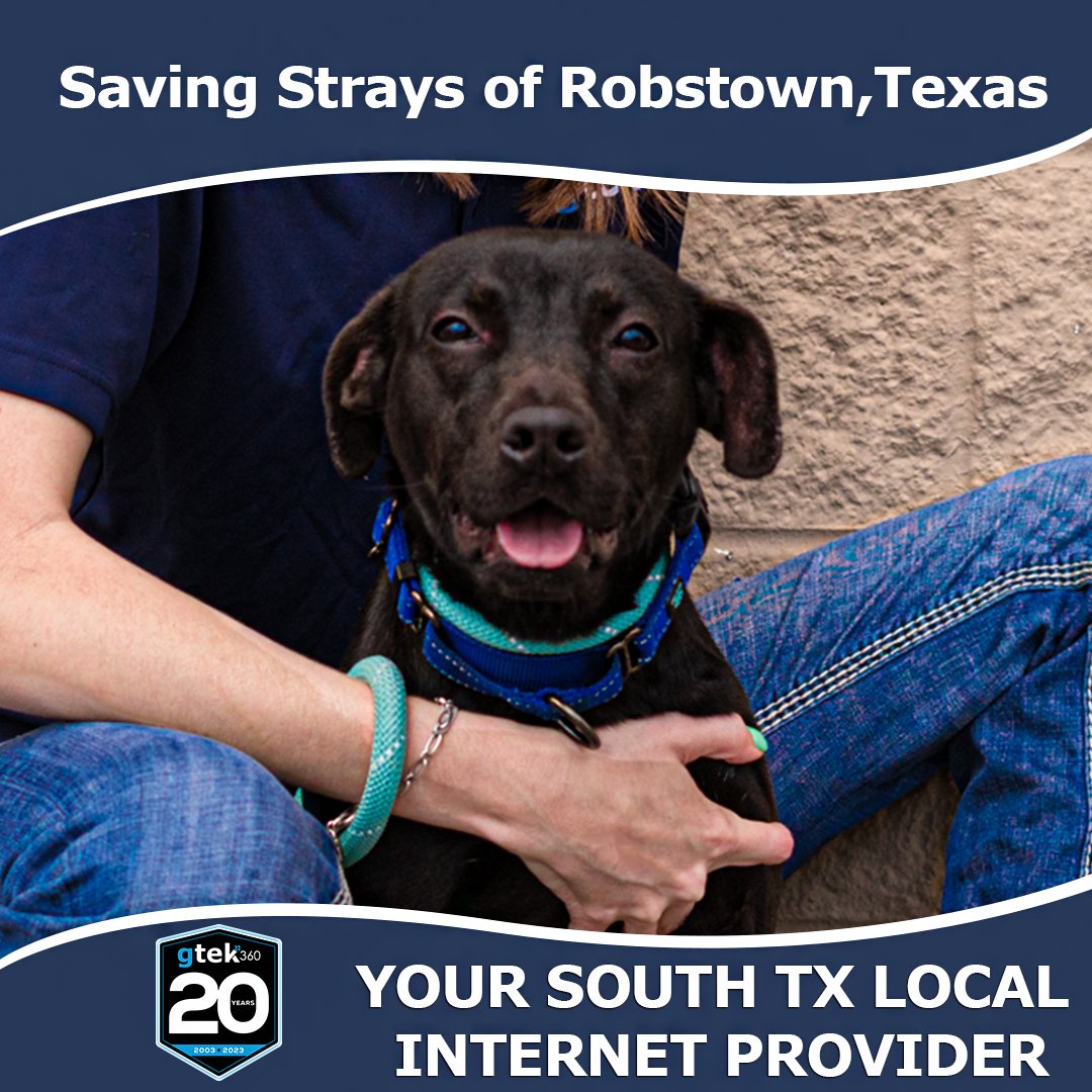 GtekCW's tweet image. This adorable one-year-old pup is full of love and energy. Piper is looking for a forever family to call her own, and she's currently waiting for you at Saving Strays of Robstown, Texas. . ❤️🏡🐶
.
.
.
 #adoptdontshop #rescuedog #savingstrays #dogsofTexas #foreverhome