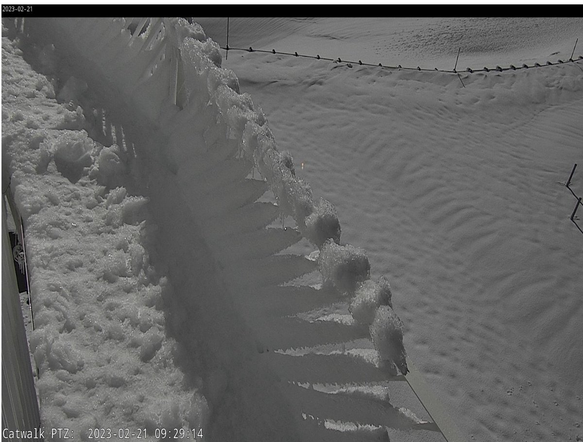 CFHTelescope tweet picture