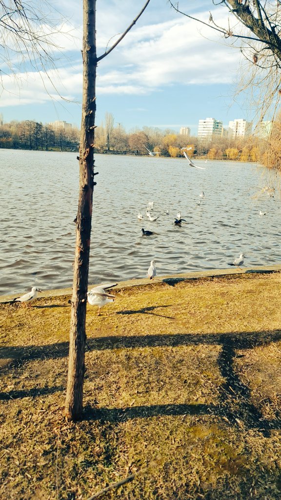 DailyM2Edose's tweet photo. Today's efforts were paid off! 🫡🥳
125%
21 km
Level 7 MB drop
🗓️21/02/2023
@Stepnofficial #STEPN #StepnRun #StepnSneaker #StepnShoe #StepnStats #GameFi #WEB3 #Move2Earn #MoveToEarn #GST #GMT #SOL #NFT https://t.co/Daiyf8JD8Y