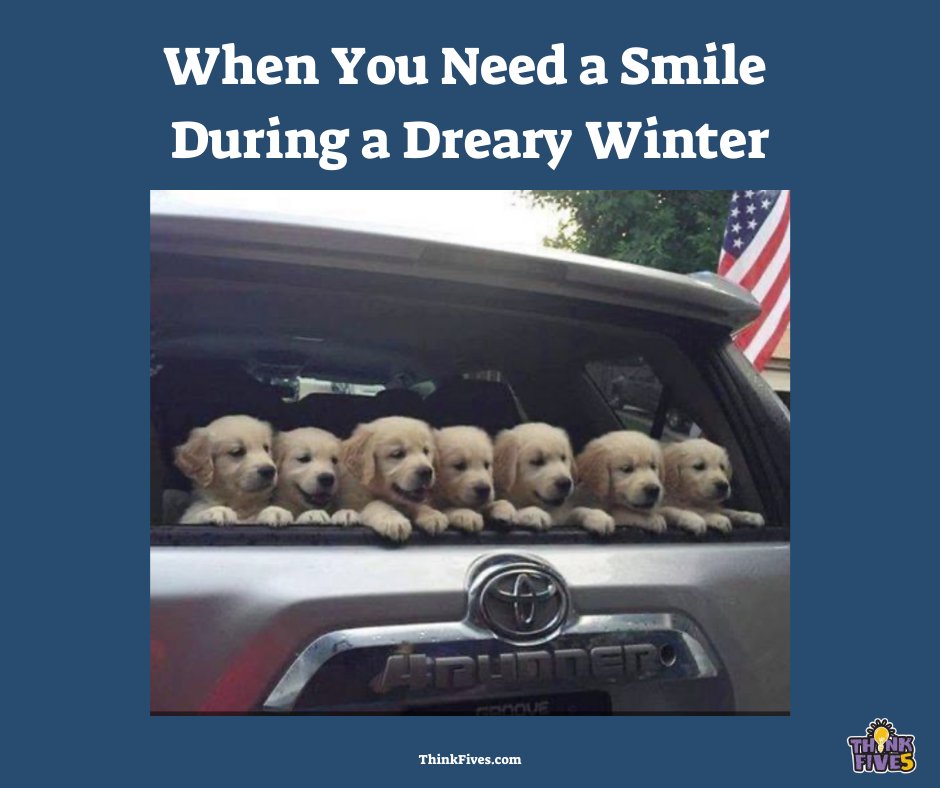 ThinkFives's tweet image. Here is some #puppylove to brighten up a dreary winter day!🐶🐶🥺🤗 Wishing #teachertwitter the best today!

Follow @ThinkFives for more #BrainCandy, #PuppyPics, and other #teachercontent!

 Also, check out thinkfives.com for the chance to win $105 💰
