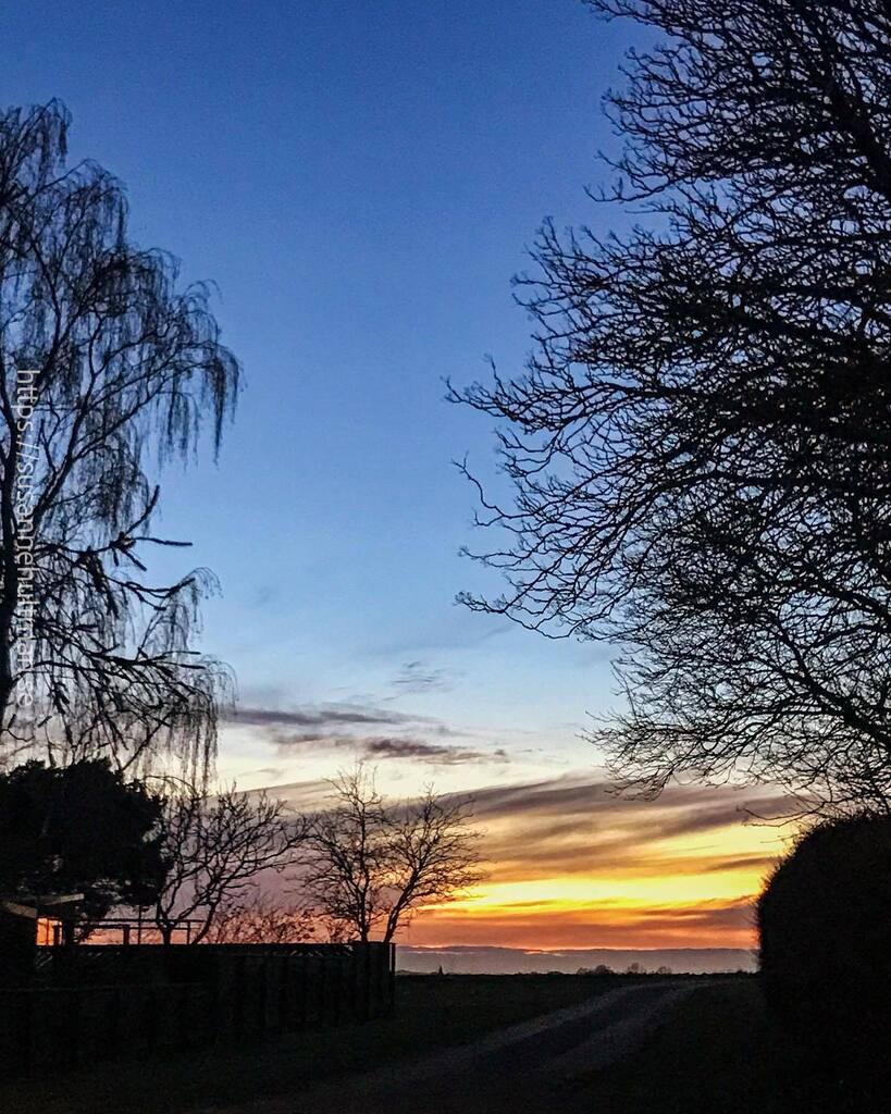 Susanne Hultman tweet media