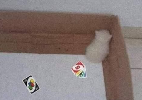 "En serio te vas a poner así porque te tiré un +4?"
Yo: