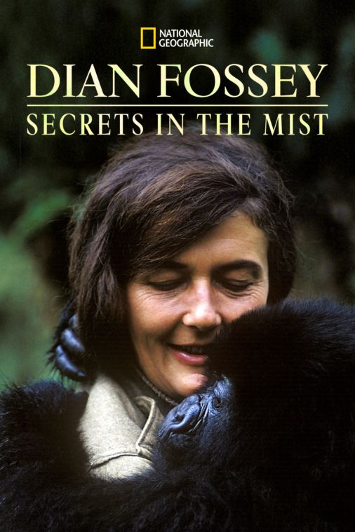 SavingGorillas's tweet photo. Don’t miss Dian Fossey: Secrets in the Mist on @Disneyplus Dian’s work saved mountain gorillas. Take a deeper look into her work, her life and her death through this limited series. @natgeo https://t.co/Kr4m3qlbdU