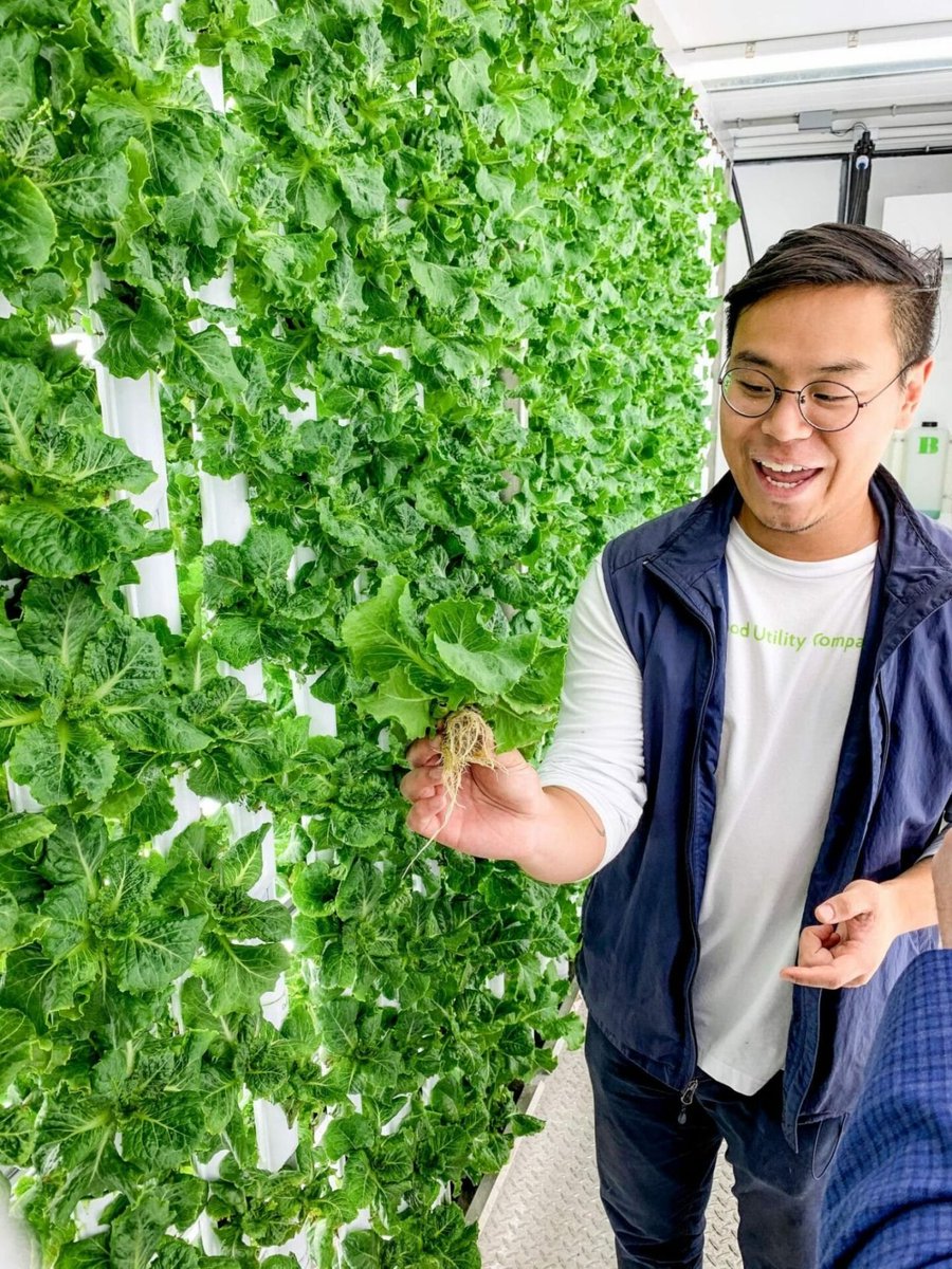 In latin the word #hydroponics means “water-working”. It’s a method of growing plants in water rather than soil. 🌱 ✅ Uses 90% less water ✅ No soil required ✅ Grow all year round ✅ Healthier plant growth #water #agtech #climatetech #sustainability #verticalfarming #startups