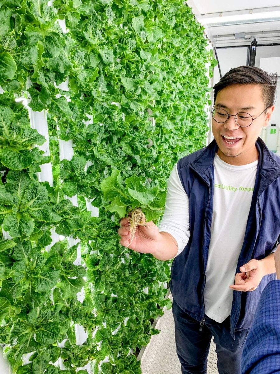 In latin the word #hydroponics means “water-working”. It’s a method of growing plants in water rather than soil. 🌱

✅ Uses 90% less water
✅ No soil required
✅ Grow all year round
✅ Healthier plant growth

#water #agtech #climatetech #sustainability #verticalfarming #startups