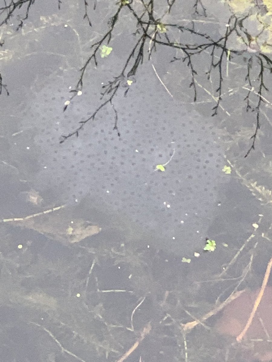 NatureBox tweet media