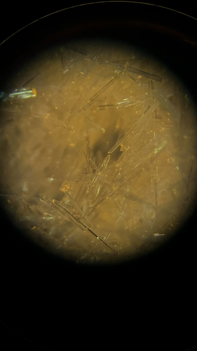 AGruber12's tweet photo. I have 2 very cool updates for my fellow nerds. First, I have phase pure stuff to work with after nearly 6 months. Very excited about that because it opens up a whole new field for me. Second, my crystals light emissions are actually facet-specific, which is kinda cool! https://t.co/WpMoG5Y6ep