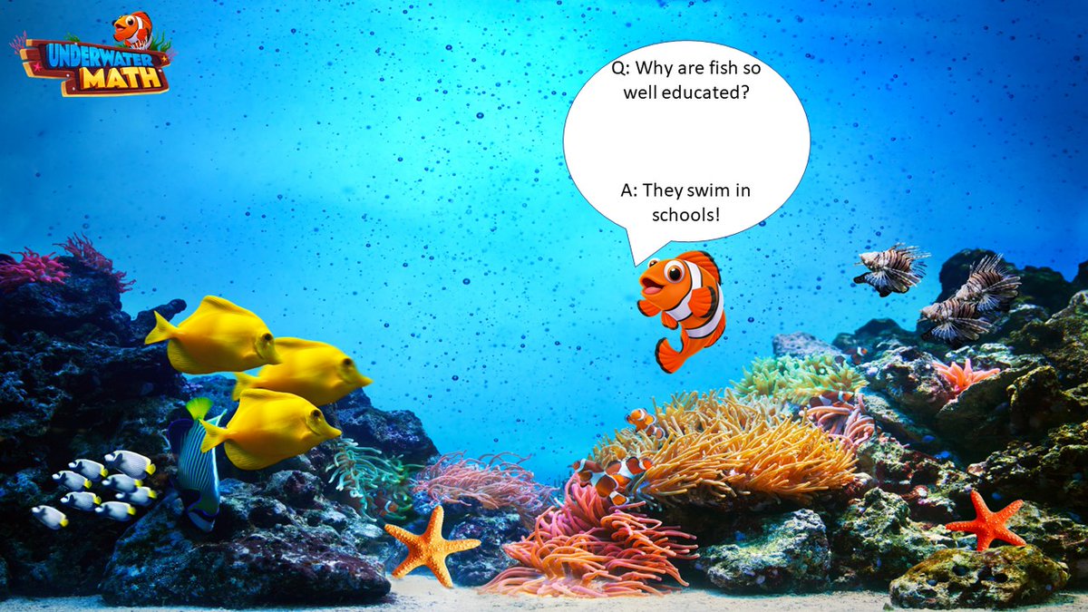Clown_Fish2023's tweet photo. https://t.co/c7nEtzfcNj