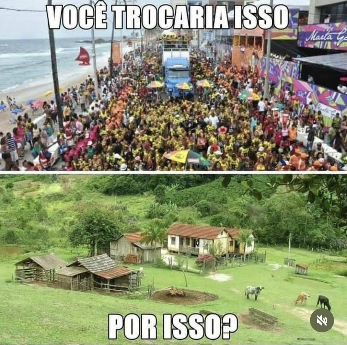 O que escolheriam?