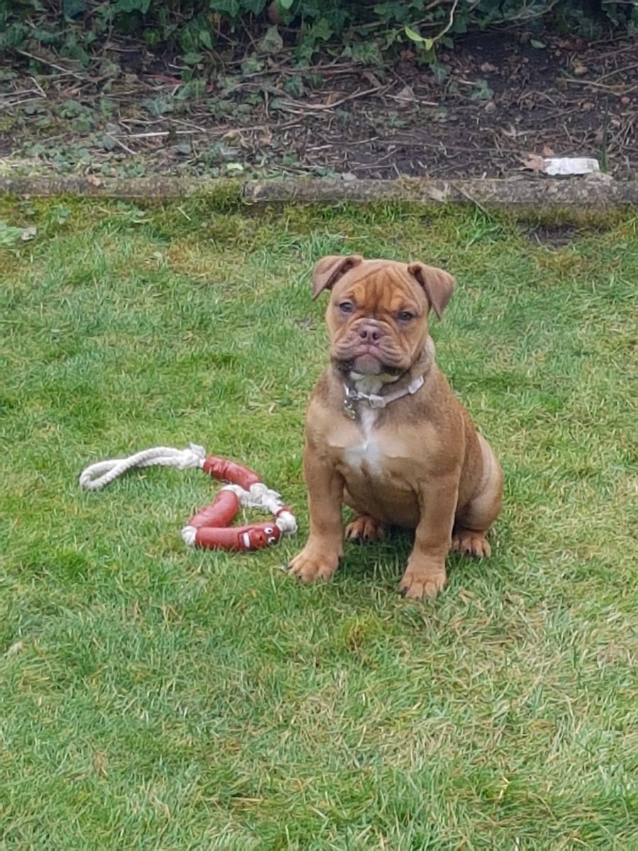 Alex Barrett tweet media