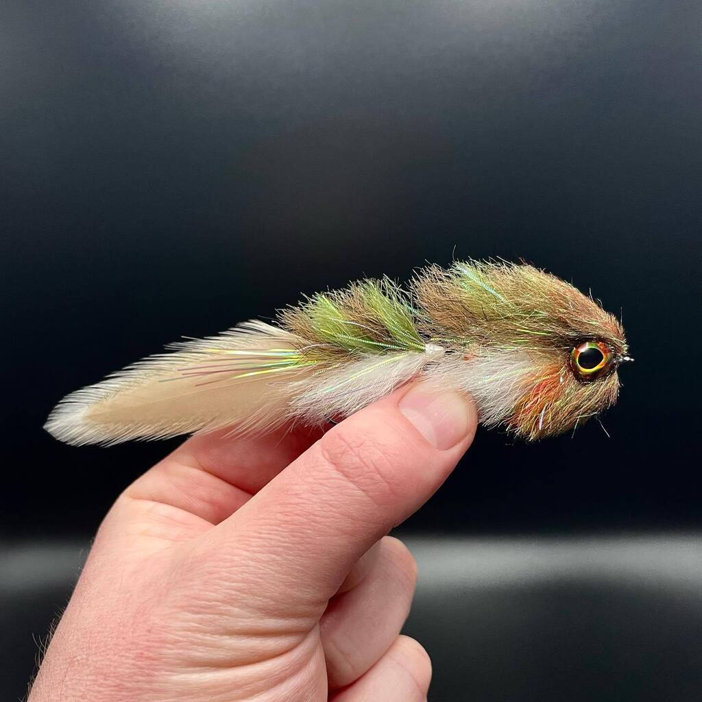 fwofishing's tweet photo. Warm water yard sale, getting ready for warmer water. 
•
•
•
#fogwateroutdoors #flyfishing #ozarks #flytying #yardsale #adaptivefly☠️ 
#smallmouthchronicles #smalliesonthefly 
#renzetti #warmwaterflyfishing https://t.co/vH3GLhFx5z
